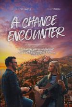 Watch A Chance Encounter Primewire