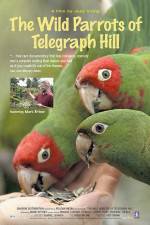 Watch The Wild Parrots of Telegraph Hill Primewire