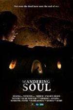 Watch Wandering Soul Primewire