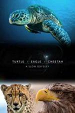 Watch Turtle, Eagle, Cheetah: A Slow Odyssey Primewire