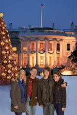Watch The National Tree Primewire