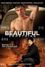 Watch Beautiful Something Primewire