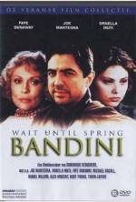 Watch Wait Until Spring, Bandini Primewire