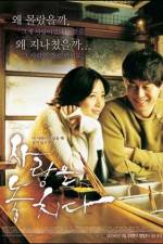 Watch Lost in Love Primewire