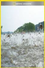 Watch National Geographic Hooked Carp Invasion Primewire