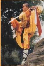 Watch National Geographic Kung Fu Secrets Primewire