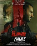 Watch Rajdhani Punjab Primewire