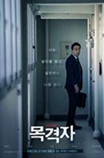 Watch The Witness Primewire