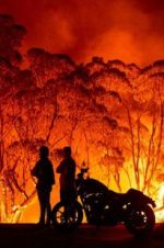 Watch Fire Fight Australia Primewire