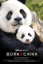 Watch Born in China Primewire