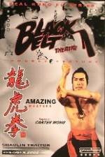 Watch Shao Lin ban pan tu Primewire