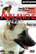 Watch Avalanche Angels Primewire