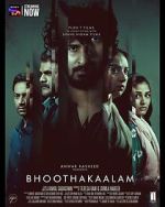 Watch Bhoothakaalam Primewire