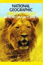 Watch National Geographic:  Walking with Lions Primewire