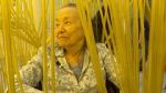 Watch Wisdom Gone Wild Primewire