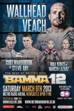 Watch BAMMA 12: Wallhead vs Veach Primewire