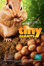Watch Tiny Giants 3D Primewire