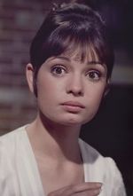 Watch Gidget Grows Up Primewire