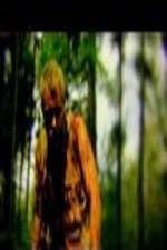 Watch The Legend of David Primewire