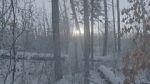 Watch Once There Was a Winter Primewire