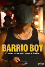 Watch Barrio Boy Primewire