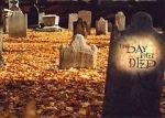 Watch The Day They Died Primewire