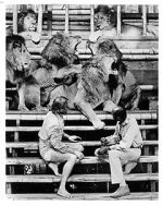 Watch Roar: The Most Dangerous Movie Ever Made Primewire
