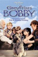 Watch Greyfriars Bobby The True Story of a Dog Primewire