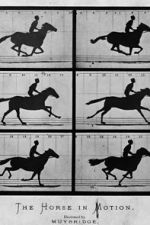 Watch Sallie Gardner at a Gallop Primewire