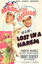 Watch Lost in a Harem Primewire