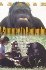 Watch A Summer to Remember Primewire