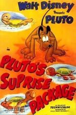 Watch Pluto\'s Surprise Package Primewire
