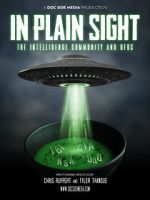 Watch In Plain Sight: The Intelligence Community and UFOs Primewire