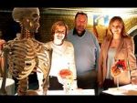 Watch Inside the Body of Henry VIII Primewire