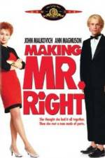 Watch Making Mr. Right Primewire