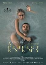 Watch A Perfect Enemy Primewire