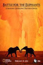 Watch Battle for the Elephants Primewire