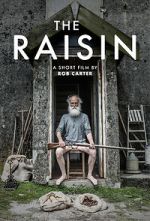 Watch The Raisin (Short 2017) Primewire