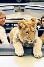 Watch The Lion Cub from Harrods Primewire