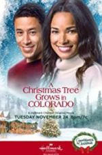 Watch A Christmas Tree Grows in Colorado Primewire
