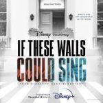 Watch If These Walls Could Sing Primewire