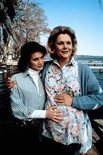Watch Labor of Love The Arlette Schweitzer Story Primewire