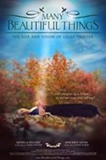 Watch Many Beautiful Things Primewire