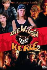 Watch Die wilden Kerle 2 Primewire