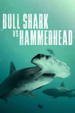 Watch Bull Shark vs Hammerhead Primewire