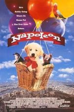 Watch Napoleon Primewire