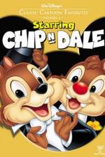 Watch Chip an' Dale Primewire