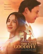 Watch The Last Goodbye Primewire