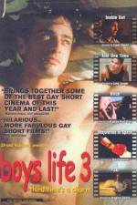 Watch Boys Life 3 Primewire