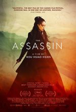 Watch The Assassin Primewire